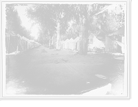 Striped tents in two rows, Antique Wall Art
