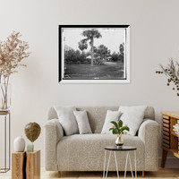 Historic Framed Print, Golf links, Hotel Royal Poinciana, Palm Beach, Fla. - 3,  17-7/8" x 21-7/8" Historic Framed Print, Golf links, Hotel Royal Poinciana, Palm Beach, Fla. - 3,  17-7/8" x 21-7/8"