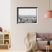 Poland Springs, Maine - 3, Antique Wall Art