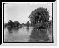South end of lake in Public Garden, Boston, Antique Print