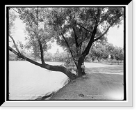 Historic Framed Print, Eldridge Park, Elmira, N.Y. - 2,  17-7/8" x 21-7/8"