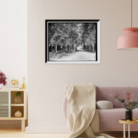 Historic Framed Print, Through the birches, Harbor Beach,  17-7/8" x 21-7/8"