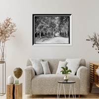 Historic Framed Print, Through the birches, Harbor Beach,  17-7/8" x 21-7/8"