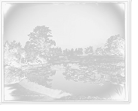 Historic Framed Print, Lily Pond, Belle Isle Park, Detroit,  17-7/8" x 21-7/8"