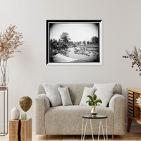 Historic Framed Print, Lily Pond, Belle Isle Park, Detroit,  17-7/8" x 21-7/8"