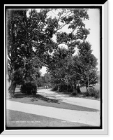 Historic Framed Print, Road on Belle Isle Park, Detroit,  17-7/8" x 21-7/8"