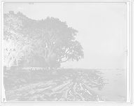 Shore at Frascati, Mobile, Ala., The, Antique Poster