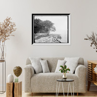 Shore at Frascati, Mobile, Ala., The, Antique Poster