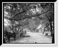 Washington Ave., Ocean Springs, Miss, Historic Print