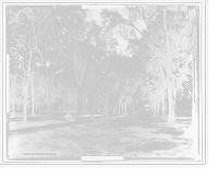 Historic Framed Print, City Green, New Haven,  17-7/8" x 21-7/8"