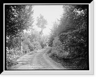 Driveway in Twilight Park, Catskill Mountains, N.Y, Vintage Print