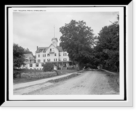 The Alphine i.e. Alpine, Pine Hill, Catskill Mts., N.Y, Historic Print