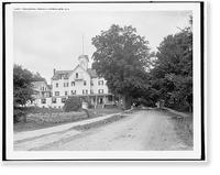 The Alphine i.e. Alpine, Pine Hill, Catskill Mts., N.Y, Historic Print