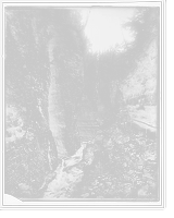 Point Lookout, Ausable Chasm, N.Y, Antique Print