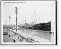 High Water at New Orleans, La. Levee, March 23, 1903, Antique Print