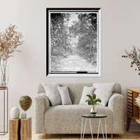 Tip-Top Tower, Mt. Quirock i.e. Quirauk, Blue Mts, Antique Wall Art