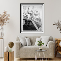 Unloading cattle from ocean steamer, Historic Print