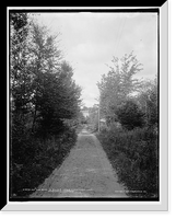 Historic Framed Print, On the road to Ralph's, Upper Chateaugay Lake, Adirondack Mountains,  17-7/8" x 21-7/8"
