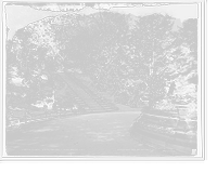 Historic Framed Print, Floral steps, Prospect Park, Brooklyn, N.Y.,  17-7/8" x 21-7/8"