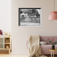 Historic Framed Print, Camels in Central Park Zoo, New York,  17-7/8" x 21-7/8"