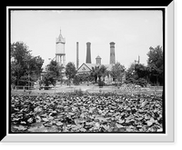 Water works, Jacksonville, Fla, Historic Print