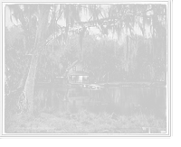 Historic Framed Print, De Leon Springs near De Land, Fla.,  17-7/8" x 21-7/8"