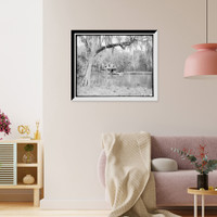 Historic Framed Print, De Leon Springs near De Land, Fla.,  17-7/8" x 21-7/8"
