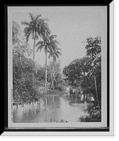 Historic Framed Print, A Cuban landscape near Havana, Cuba,  17-7/8" x 21-7/8"