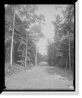 The Green drive, Hotel Champlain, N.Y, Antique Poster
