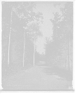 The Green drive, Hotel Champlain, N.Y, Antique Poster
