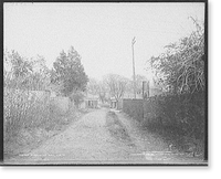 Surpentine i.e. serpentine Wall, U. of Va, Vintage Wall Art