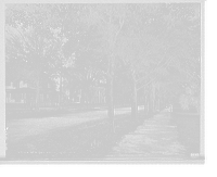 Historic Framed Print, New York Avenue, De Land, Fla.,  17-7/8" x 21-7/8" Historic Framed Print, New York Avenue, De Land, Fla.,  17-7/8" x 21-7/8"