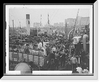 Historic Framed Print, Banana docks, New York, N.Y.,  17-7/8" x 21-7/8"