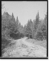 On the road from Crawfords i.e. Crawford to Bretton Woods, White Mts., N.H, Historic Reproduction