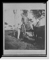 Historic Framed Print, Workmen in the cemetery [Necropolis Cristobal Colon],Havana,  17-7/8" x 21-7/8"