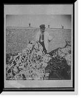 Historic Framed Print, A Heap of bones in the cemetery [Necropolis Cristobal Colon], Havana - 2,  17-7/8" x 21-7/8"