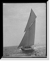 Historic Framed Print, Columbia coming for the line to windward of committee boat,  17-7/8" x 21-7/8"