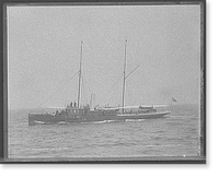 Shearwater - 2 Classic, Vintage Print