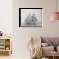 Historic Framed Print, Minx,  17-7/8" x 21-7/8"