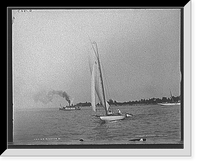 Historic Framed Print, Rooster II - 3,  17-7/8" x 21-7/8"