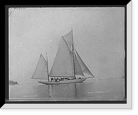 Vanessa - 2, Historic Reproduction