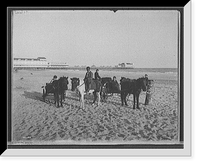 Ponies on the beach, Atlantic City, N.J, Antique Wall Art
