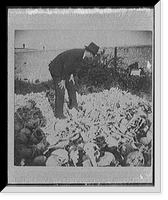 Heap of bones in the cemetery, Necropolis Cristobal Colon, Havana - 5, Historic Print