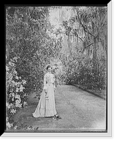 Woman near flowering shrub at Magnolia Gardens, Charleston, S.C, Antique Print