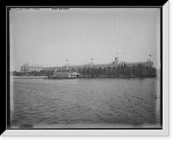 Royal Poinciana from wharf, Palm Beach, Fla. Classic, Antique Poster