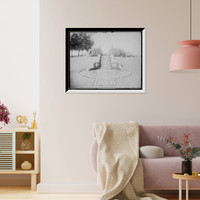 Historic Framed Print, [Como Park, floral steps, gates ajar, St. Paul, Minn.],  17-7/8" x 21-7/8"