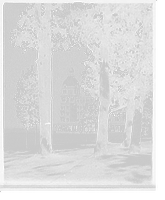 Historic Framed Print, [Poland Spring House, hotel vista through the trees, Poland Spring, Me.],  17-7/8" x 21-7/8"