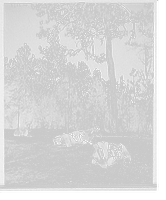 Welcome shade, cattle study, Mobile, Ala. Classic, Vintage Print