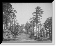 Historic Framed Print, [Roadway through the pines, Hot Springs, Ark.],  17-7/8" x 21-7/8"