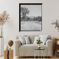 Historic Framed Print, [On the road to the base of Mount Washington, White Mountains, N.H.],  17-7/8" x 21-7/8"